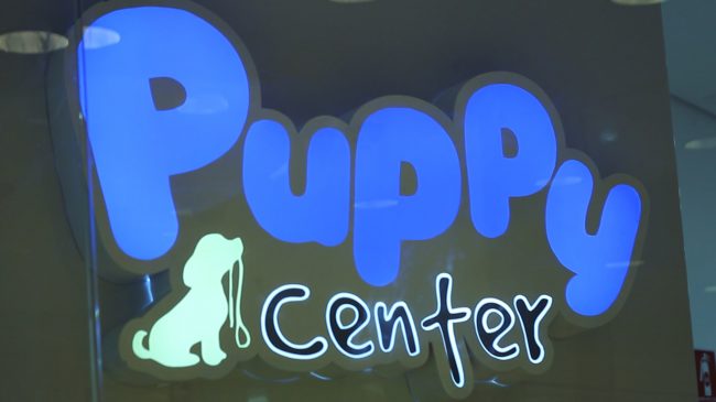 CAPA Conheça a Puppy Frei Caneca