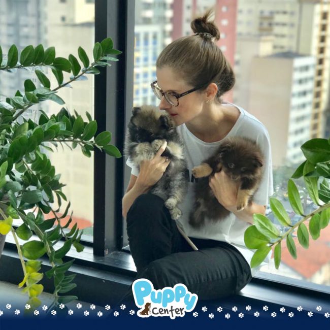 Dra. Thalita Puppy Center 02-ok