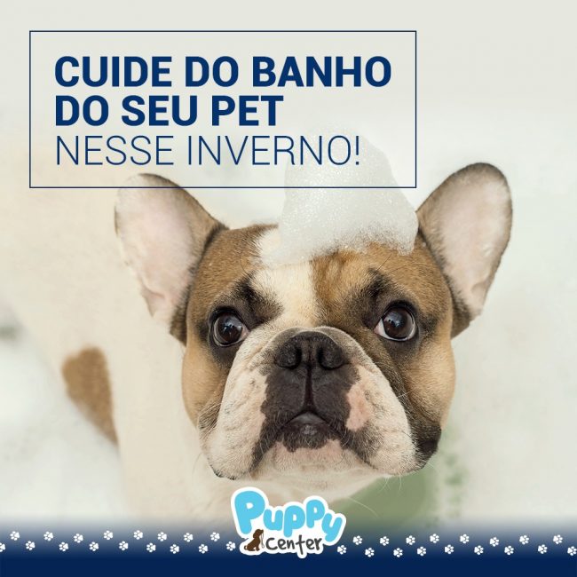 banho em pet no inverno-social