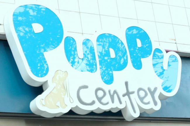 capa puppy center
