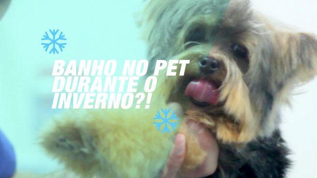 capa puppy BANHO NO INVERNO