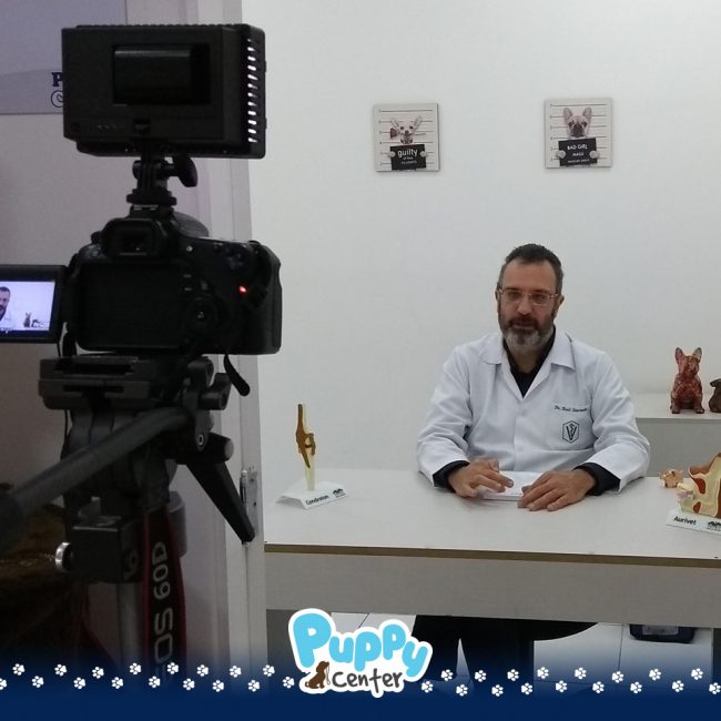 puppy-freicaneca-clinica-002