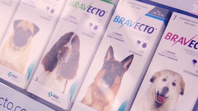 CAPA DE VIDEO PUPPY CENTER – BRAVECTO