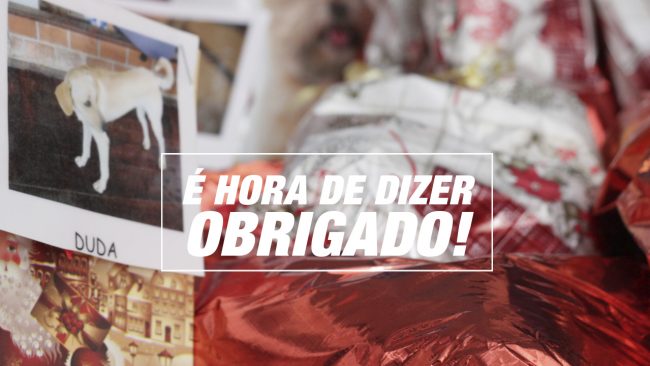 É HORA DE DIZER OBRIGADO