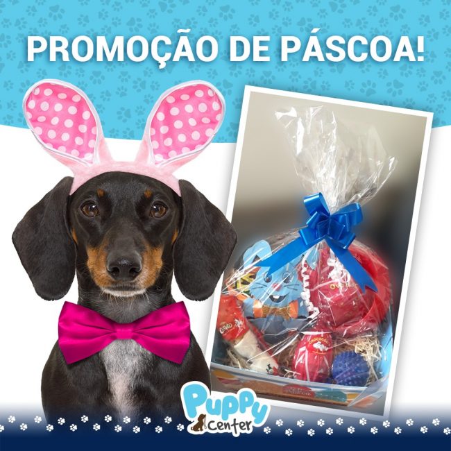 puppy center pascoa – social