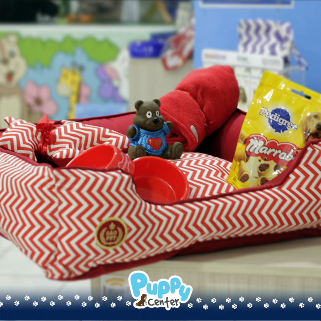 SORTEIO CAMINHA 020919