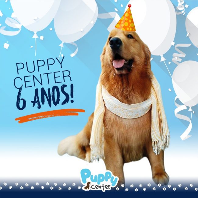 puppy-center-6-anos-2