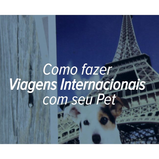 Capa Viagens Internacionais com Pets – capa