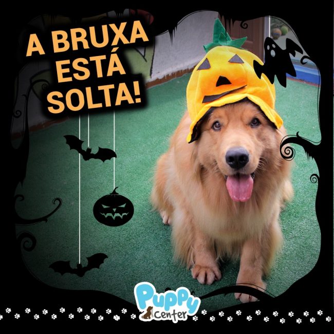 puppy center halloween – social