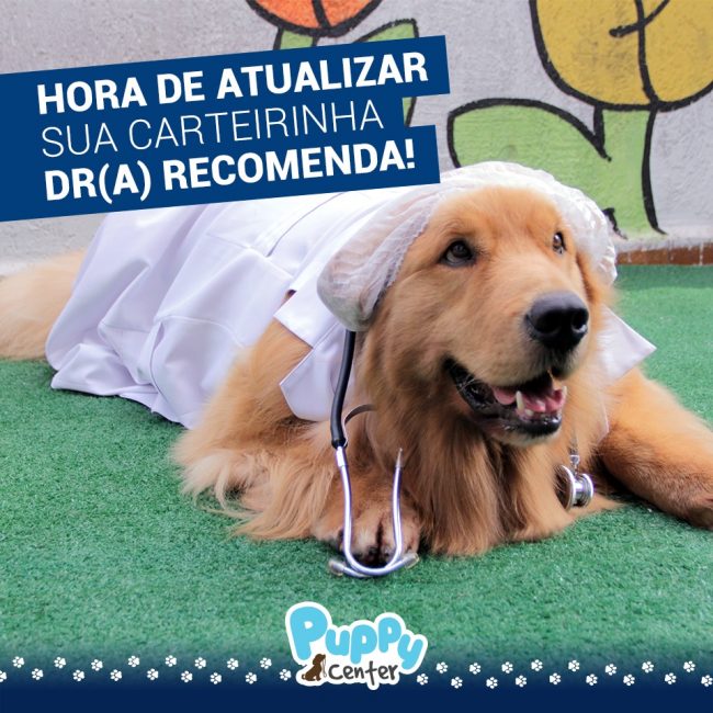 promo puppy center social