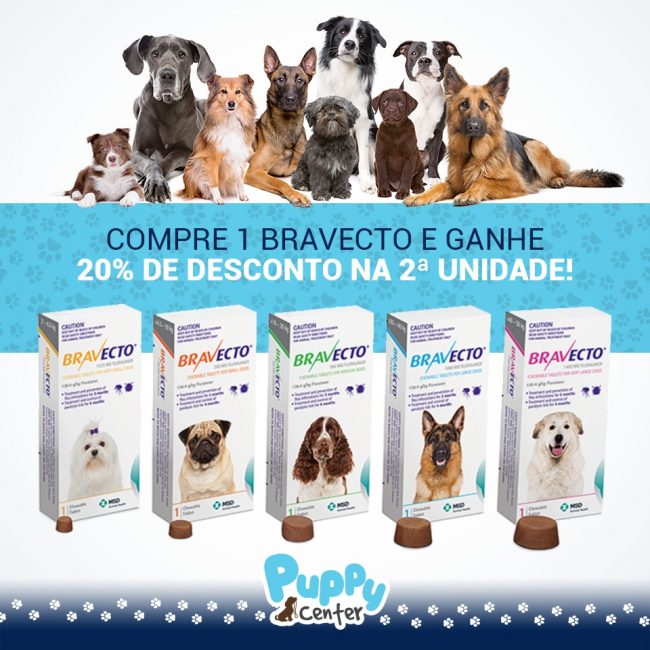 Puppy Bravecto 2020